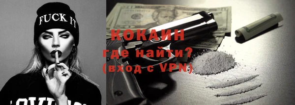 гашик Алексеевка