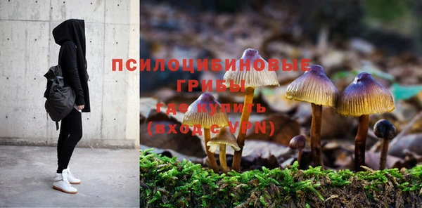 гашик Алексеевка