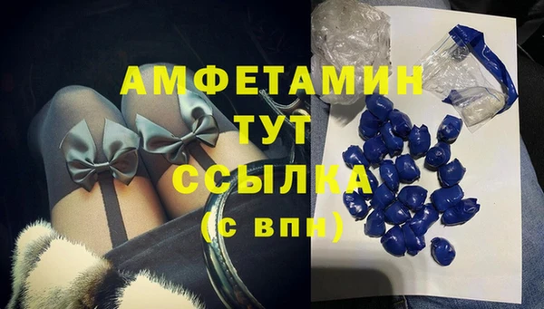 гашик Алексеевка