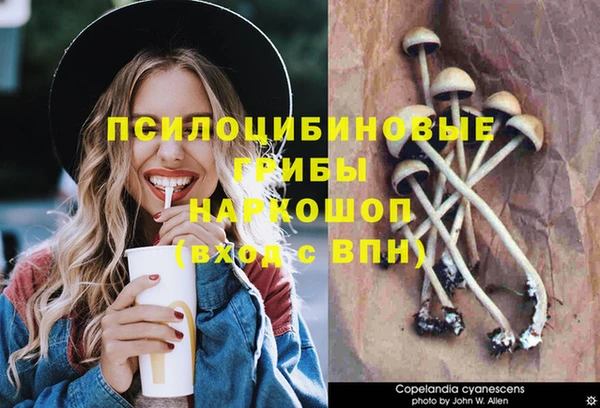 гашик Алексеевка