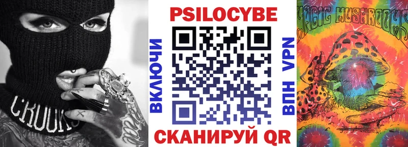Галлюциногенные грибы Psilocybe  купить наркоту  Харовск 